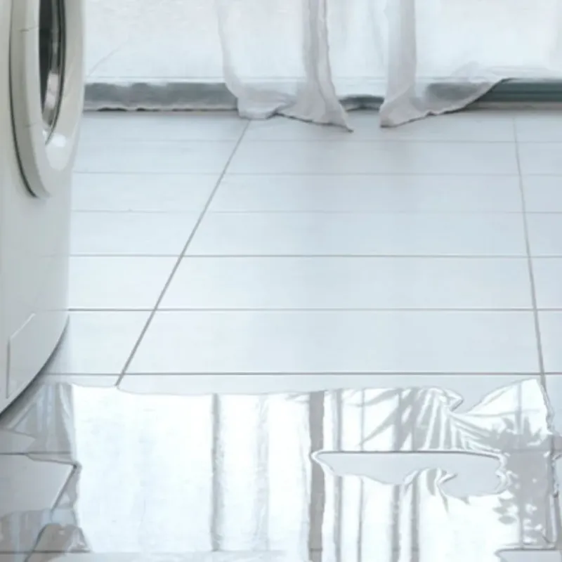 Appliance Leak Cleanup in Rockingham County, VA