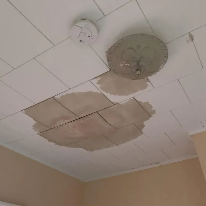 Ceiling Water Damage Repair in Rockingham County, VA