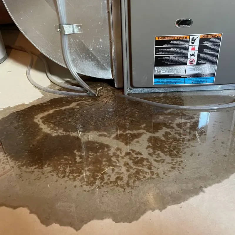 Pipe Burst and Leak Restoration in Rockingham County, VA
