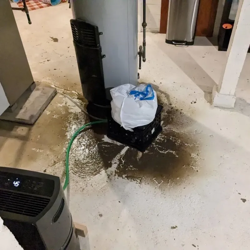 Sewage Backup Cleanup Service in Rockingham County, VA